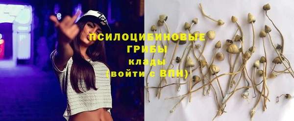 скорость Дмитров