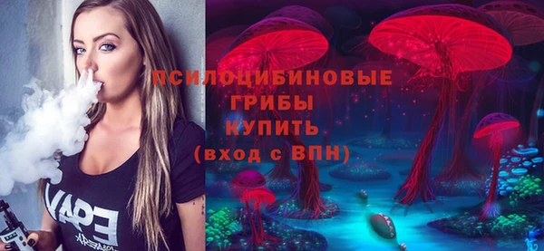 марки lsd Дмитриев